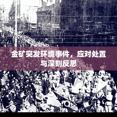 金礦突發(fā)環(huán)境事件，應(yīng)對處置與深刻反思
