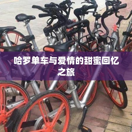 哈羅單車(chē)與愛(ài)情的甜蜜回憶之旅