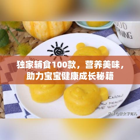 獨家輔食100款，營養(yǎng)美味，助力寶寶健康成長秘籍
