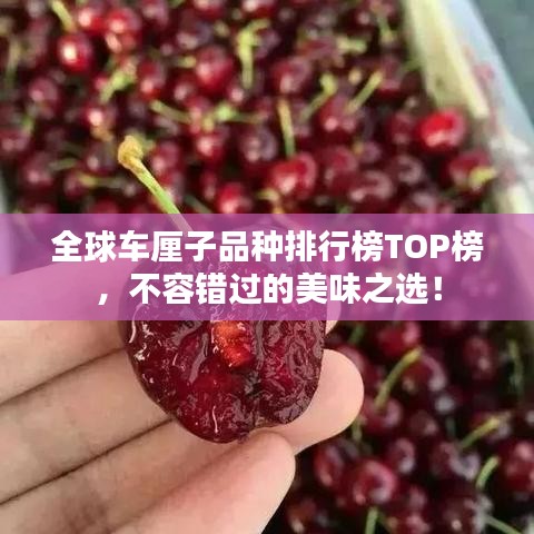 全球車厘子品種排行榜TOP榜，不容錯過的美味之選！