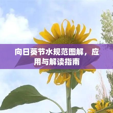 向日葵節(jié)水規(guī)范圖解，應(yīng)用與解讀指南