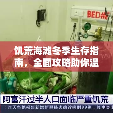 饑荒海灘冬季生存指南，全面攻略助你溫暖過(guò)冬