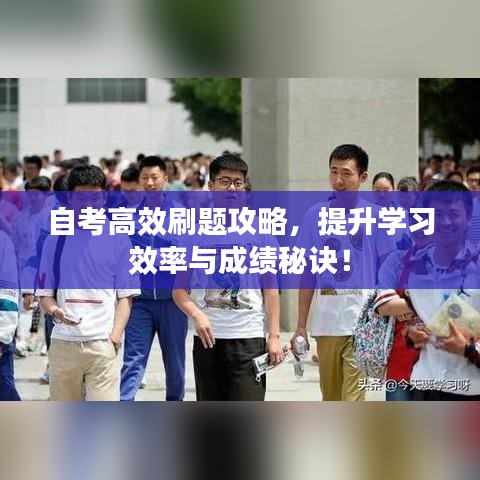 自考高效刷題攻略，提升學(xué)習(xí)效率與成績(jī)秘訣！