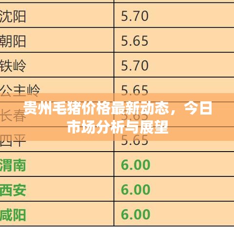 貴州毛豬價(jià)格最新動(dòng)態(tài)，今日市場(chǎng)分析與展望