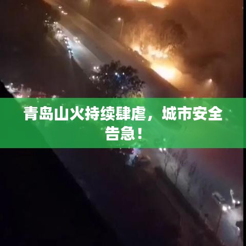 青島山火持續(xù)肆虐，城市安全告急！