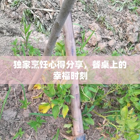 獨(dú)家烹飪心得分享，餐桌上的幸福時(shí)刻