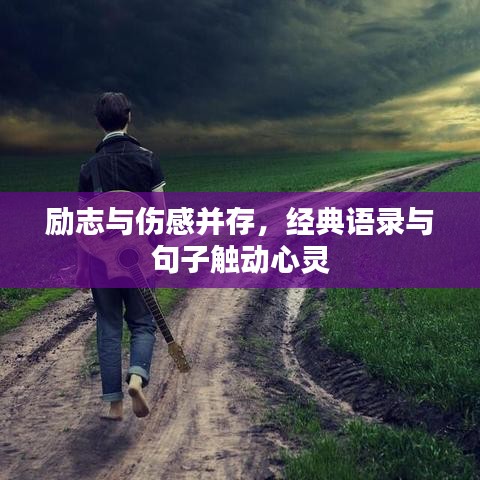 勵志與傷感并存，經(jīng)典語錄與句子觸動心靈