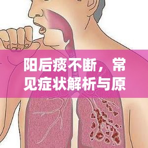 陽后痰不斷，常見癥狀解析與原因探究