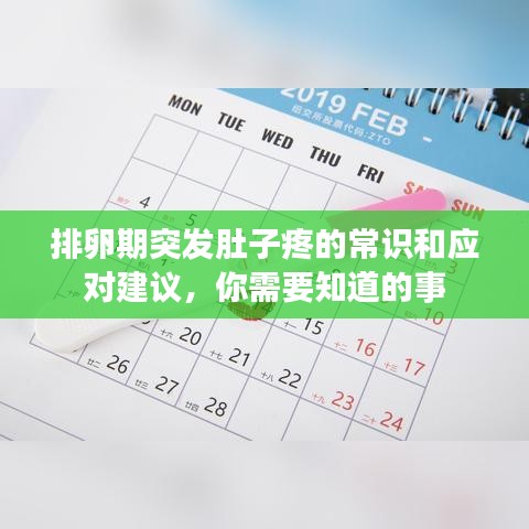 排卵期突發(fā)肚子疼的常識(shí)和應(yīng)對(duì)建議，你需要知道的事