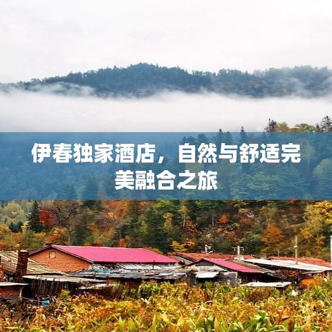 伊春獨家酒店，自然與舒適完美融合之旅