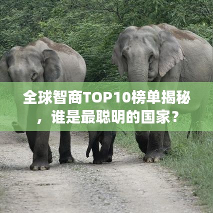 全球智商TOP10榜單揭秘，誰是最聰明的國家？