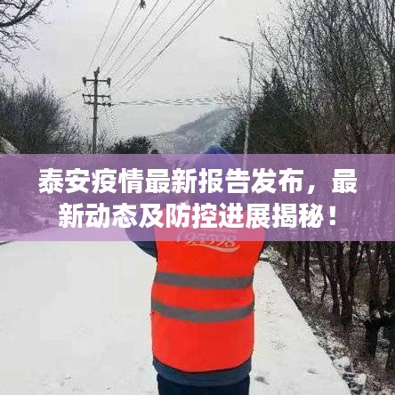 泰安疫情最新報(bào)告發(fā)布，最新動(dòng)態(tài)及防控進(jìn)展揭秘！
