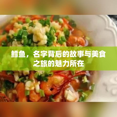 鱈魚，名字背后的故事與美食之旅的魅力所在