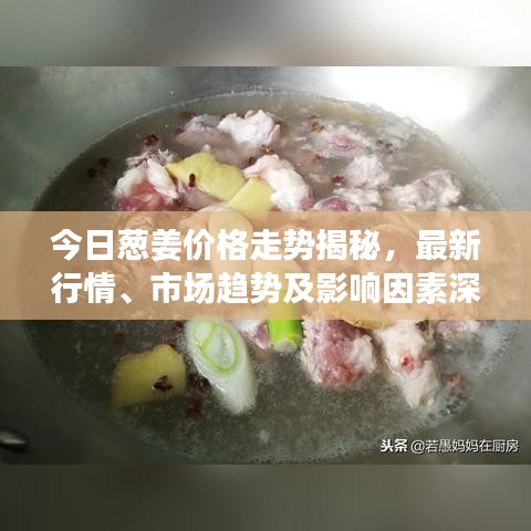 今日蔥姜價(jià)格走勢(shì)揭秘，最新行情、市場(chǎng)趨勢(shì)及影響因素深度解析
