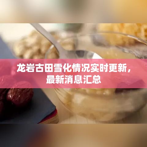 龍巖古田雪化情況實(shí)時(shí)更新，最新消息匯總