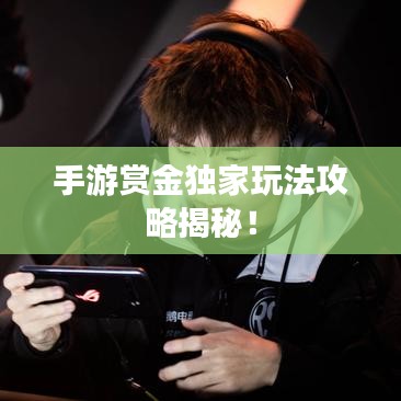 手游賞金獨(dú)家玩法攻略揭秘！