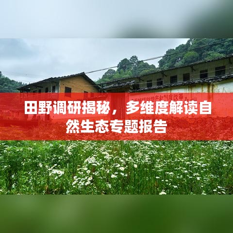 田野調(diào)研揭秘，多維度解讀自然生態(tài)專題報告