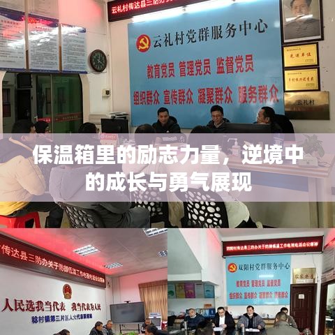 保溫箱里的勵志力量，逆境中的成長與勇氣展現(xiàn)