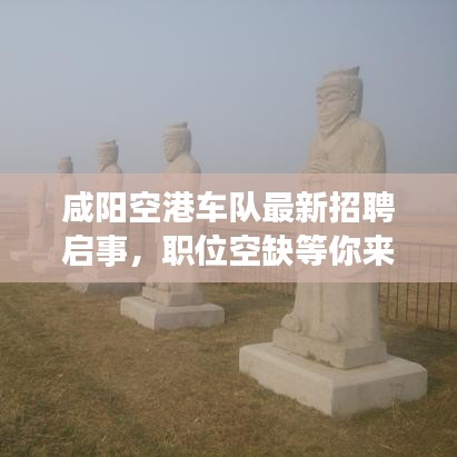 咸陽空港車隊最新招聘啟事，職位空缺等你來挑戰(zhàn)！