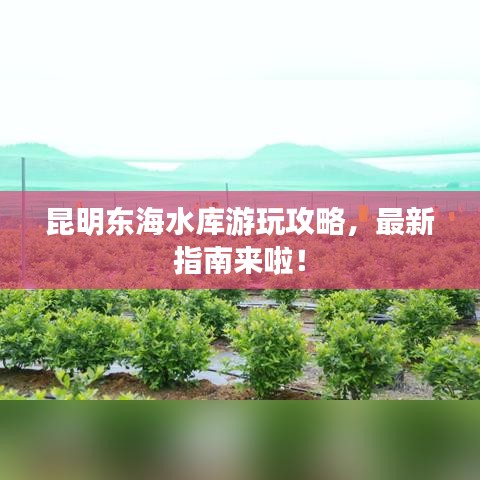 昆明東海水庫游玩攻略，最新指南來啦！