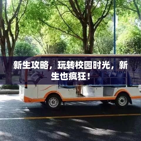 新生攻略，玩轉(zhuǎn)校園時光，新生也瘋狂！