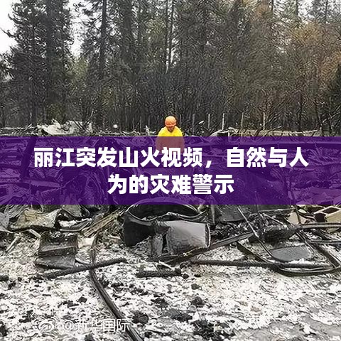 麗江突發(fā)山火視頻，自然與人為的災(zāi)難警示