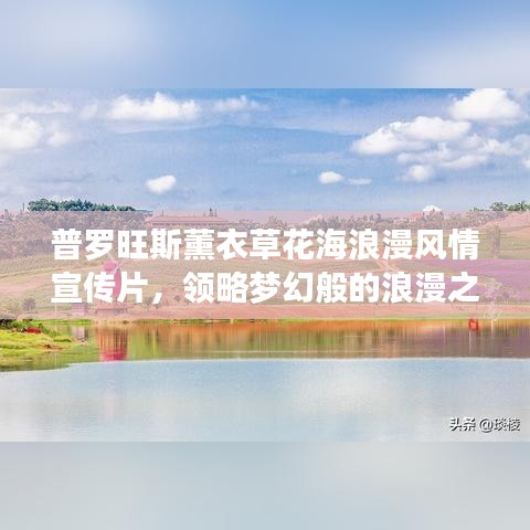 普羅旺斯薰衣草花海浪漫風(fēng)情宣傳片，領(lǐng)略夢(mèng)幻般的浪漫之旅！