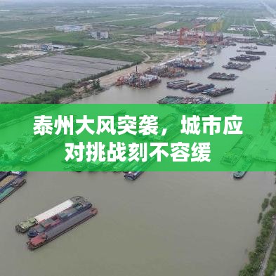 泰州大風(fēng)突襲，城市應(yīng)對挑戰(zhàn)刻不容緩
