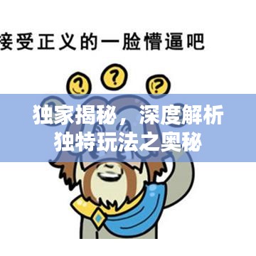 獨(dú)家揭秘，深度解析獨(dú)特玩法之奧秘