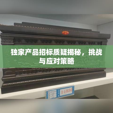 獨(dú)家產(chǎn)品招標(biāo)質(zhì)疑揭秘，挑戰(zhàn)與應(yīng)對策略