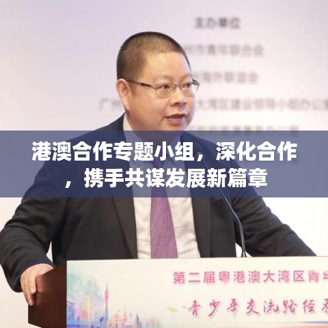 港澳合作專題小組，深化合作，攜手共謀發(fā)展新篇章