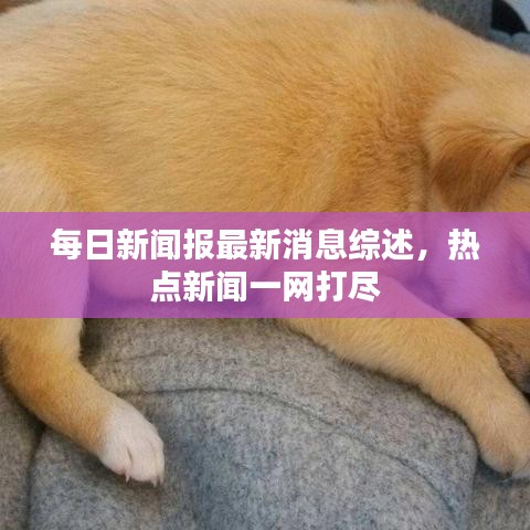 每日新聞報(bào)最新消息綜述，熱點(diǎn)新聞一網(wǎng)打盡